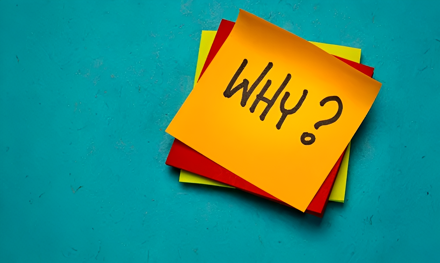 海外転送代行サービスS&K Logistics